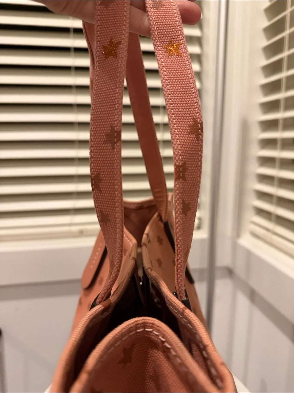 NWOT Coach Uni Tote [limited edition]